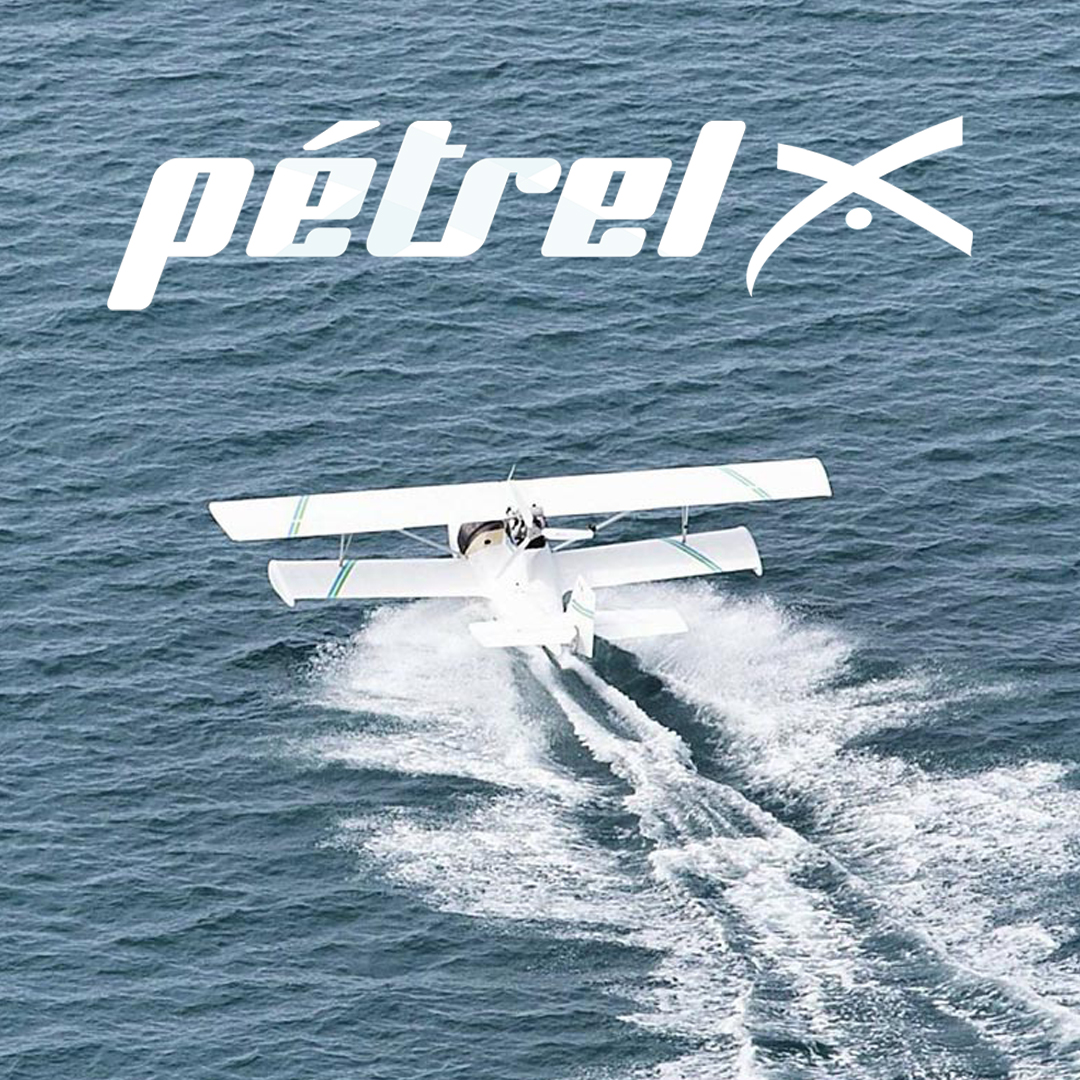 photo DVD petrel
